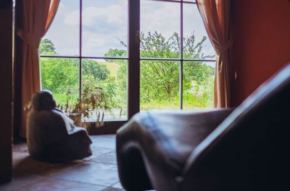 Romantische Paarmassage für 2 Pirna (60 min) Unkategorisiert online kaufen Romantische Paarmassage für 2 Pirna (60 min) Unkategorisiert online kaufen